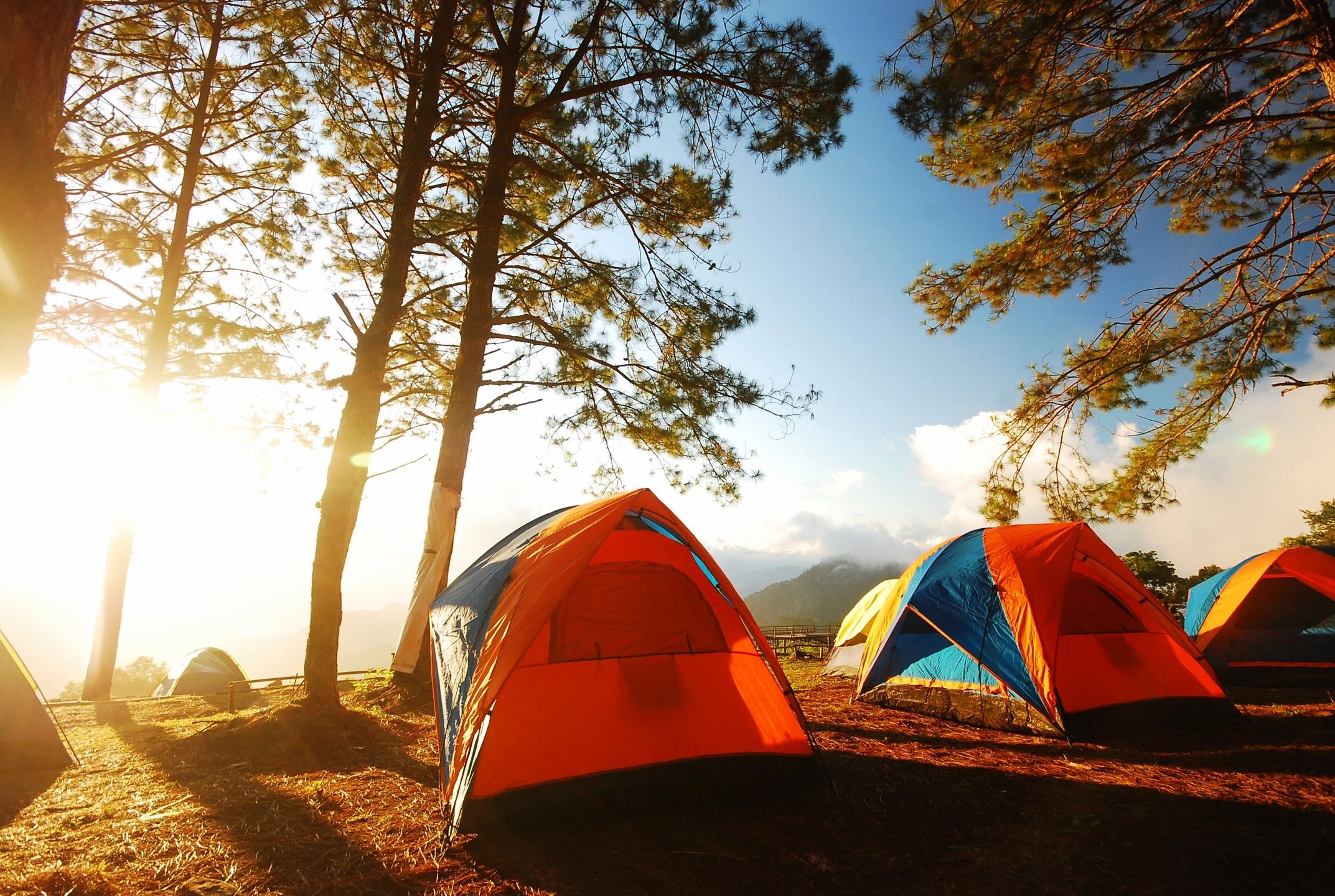 Tent camping in a park.